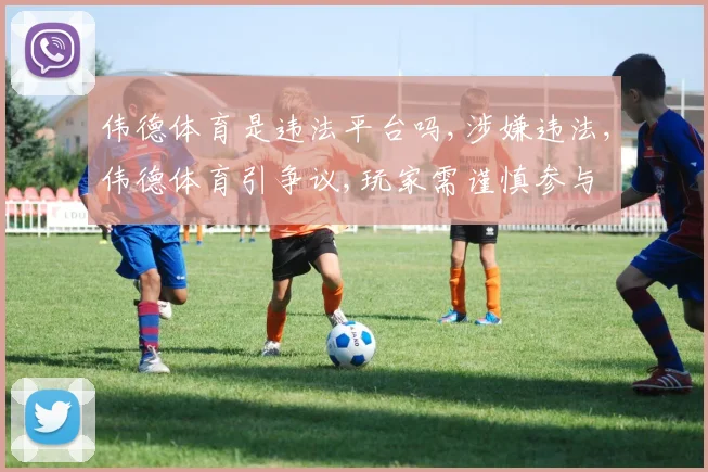 伟德体育是违法平台吗,涉嫌违法,伟德体育引争议,玩家需谨慎参与
