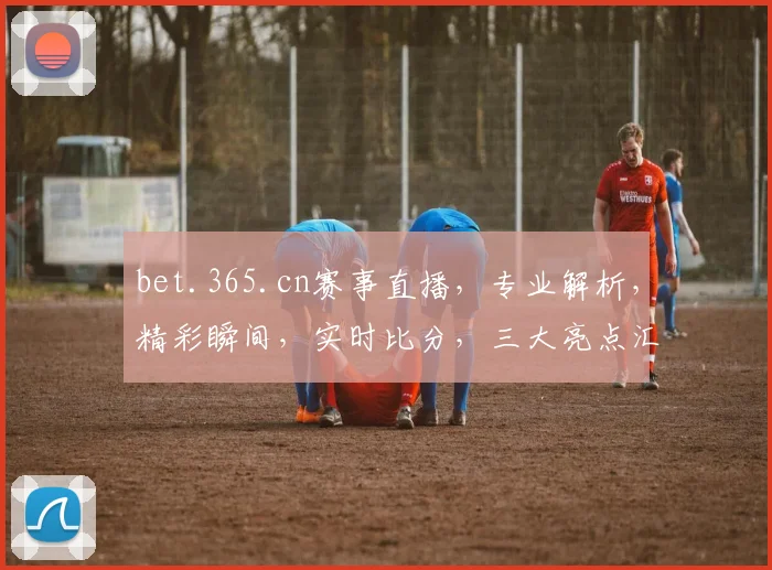 bet.365.cn赛事直播，专业解析，精彩瞬间，实时比分，三大亮点汇聚一网
