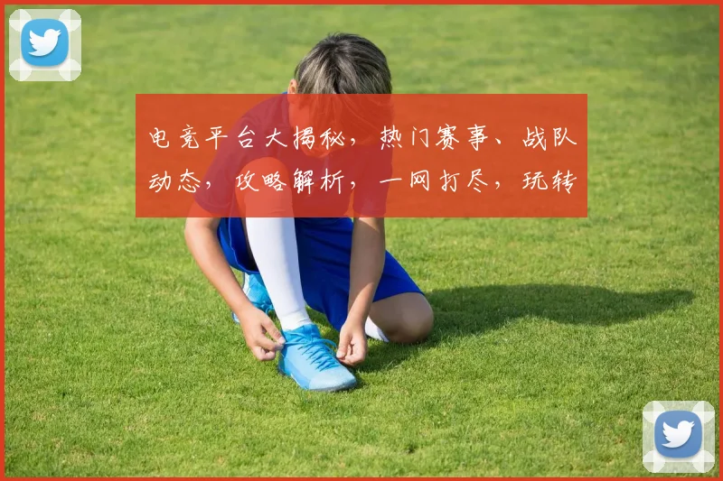 电竞平台大揭秘，热门赛事、战队动态，攻略解析，一网打尽，玩转电竞世界，尽享精彩
