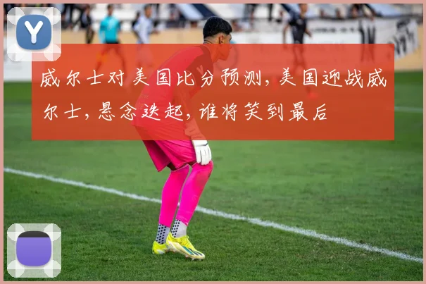 威尔士对美国比分预测,美国迎战威尔士,悬念迭起,谁将笑到最后